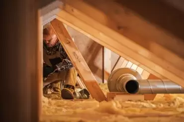 applying pest control to the attic