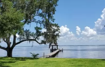 Are Pest Problems Worse Closer to the River?