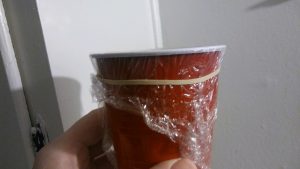 fruit fly vinegar trap