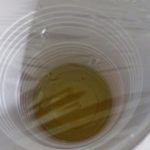 inside fruit fly vinegar trap