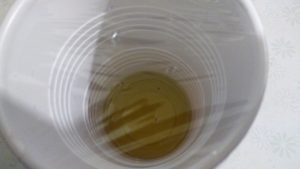 inside fruit fly vinegar trap