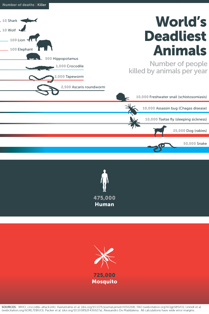 mosquitoes kill more humans