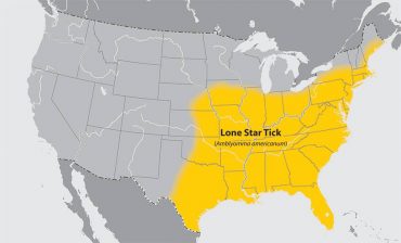 Map of Lone Star Tick