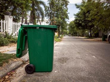 Prevent pests at your trash can