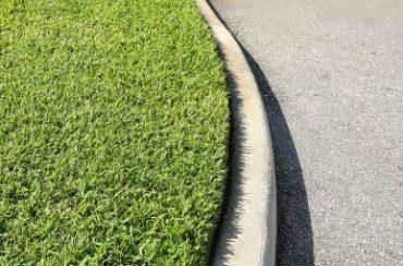 Lawn Care Pest Brevard County FL
