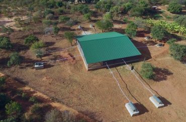 mosquito study in Zambia