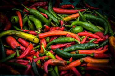 Pest control capsaicin peppers