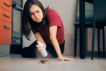 DIY pest control can backfire