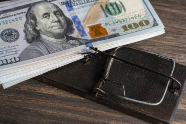 DIY pest control versus professional company
