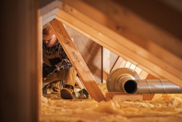 applying pest control to the attic